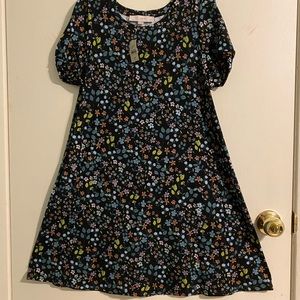 Loft Swing Dress